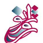 طراحی سایت فروشگاهی روژانو